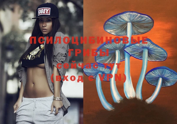 гидропоника Алзамай