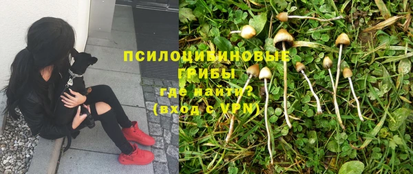 гидропоника Алзамай