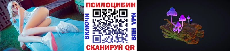 Псилоцибиновые грибы Psilocybe  Шелехов 